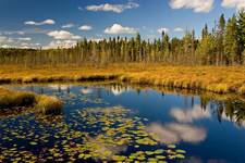 Algonquin Park