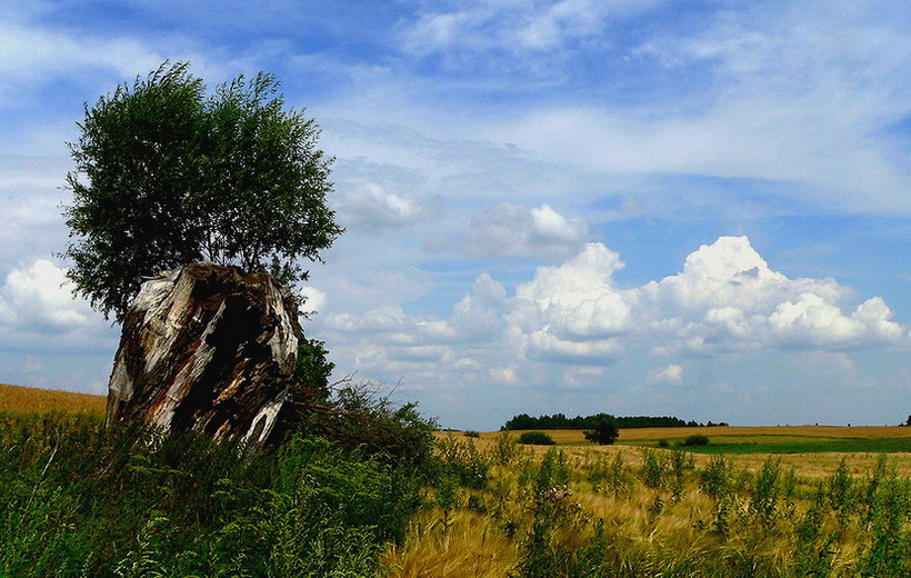 Mazurskie pejzaże