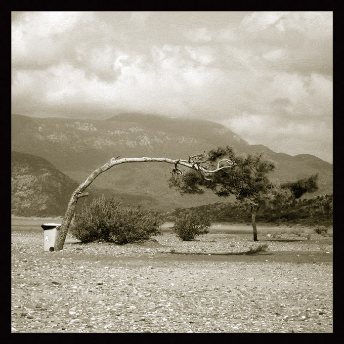 Iztuzu beach ( Turcja)