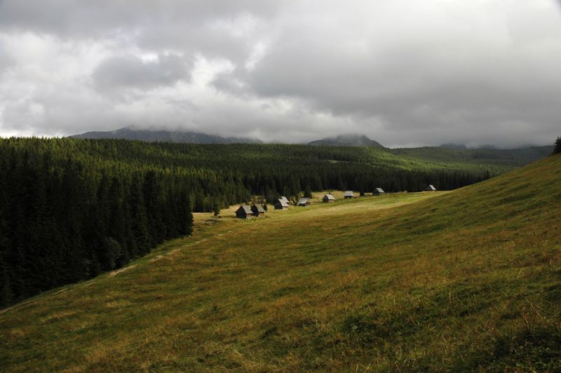 Polana pod Kopieńcem