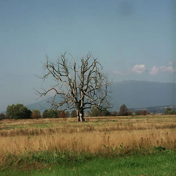 Starość