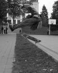 Skate karate :D