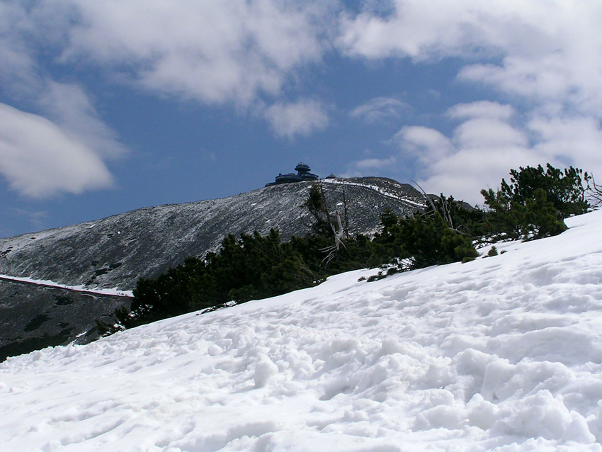 Śnieżka