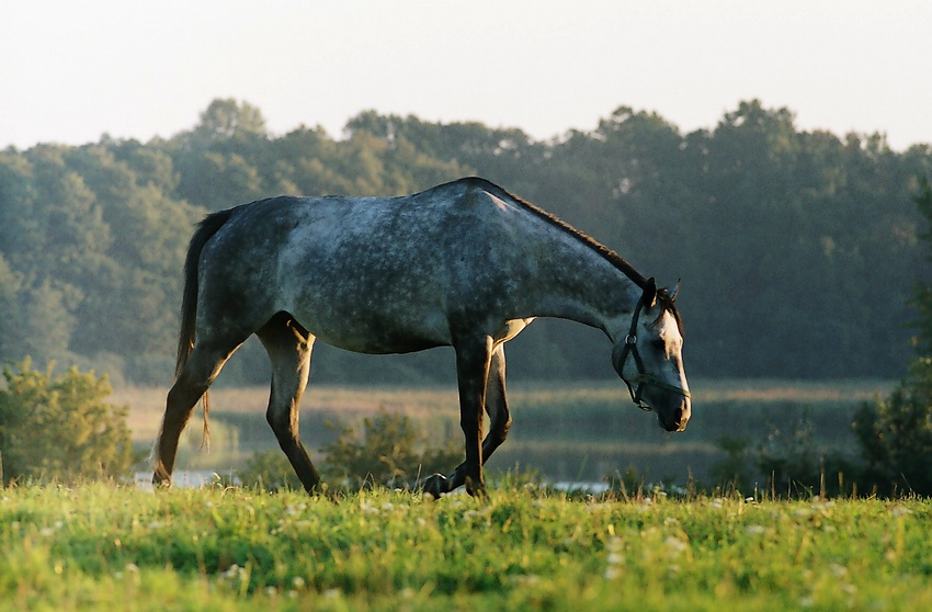 Iwno wrzesień 2006