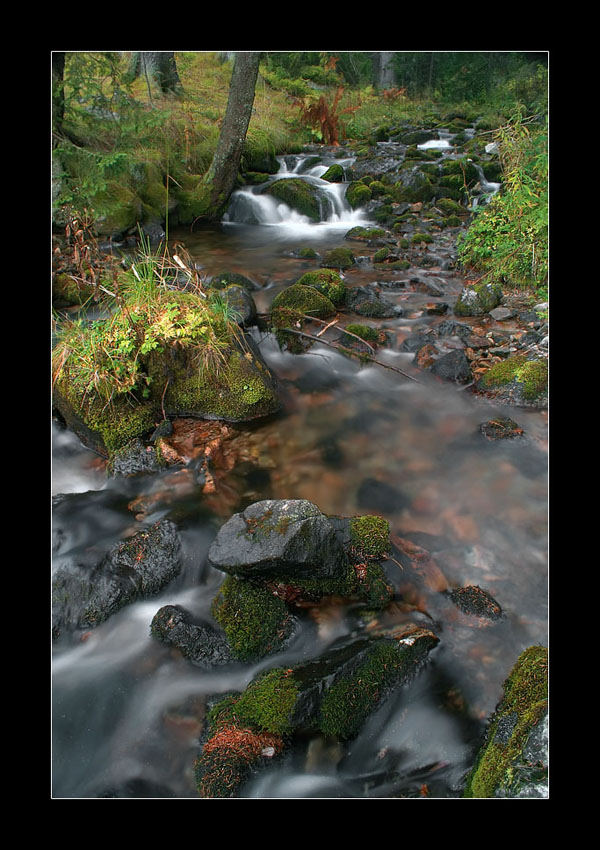 Tatry