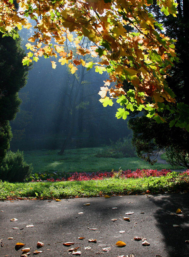 Jesień idzie przez park