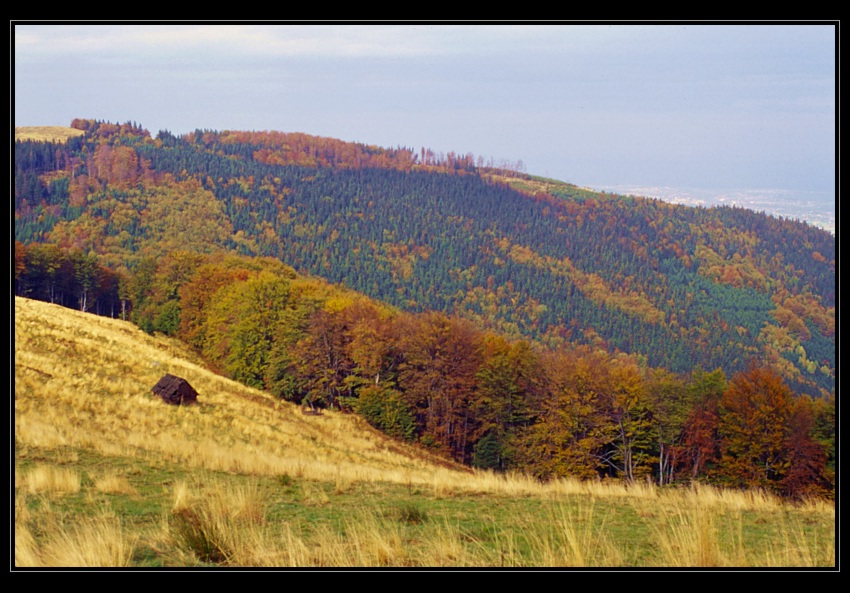 Jesień w Śląskim