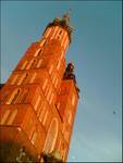 mariacki