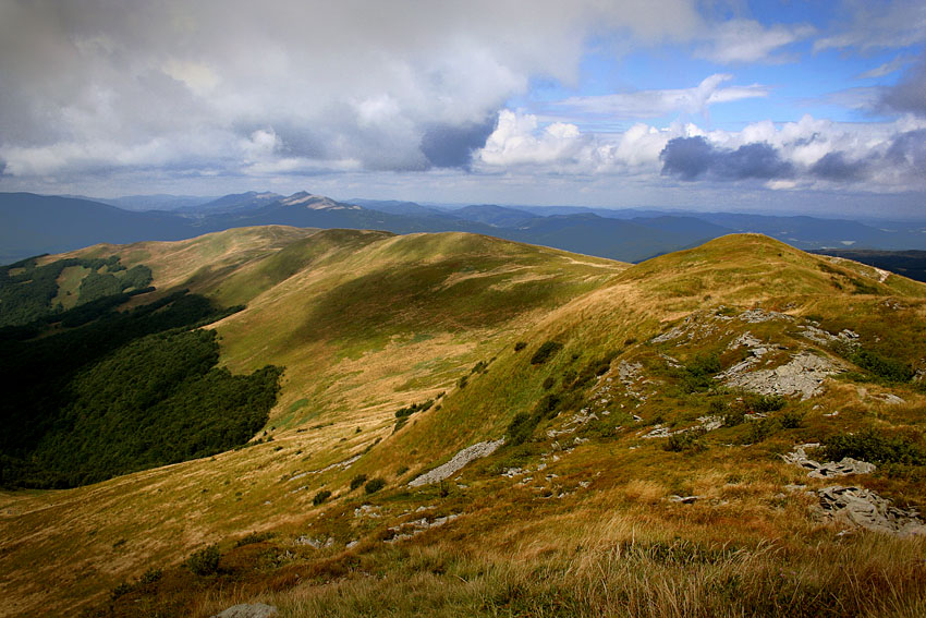 Bieszczady - Szeroki Wierch