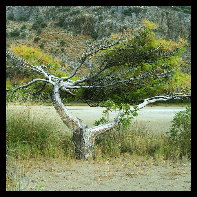 Iztuzu beach III( Turcja)