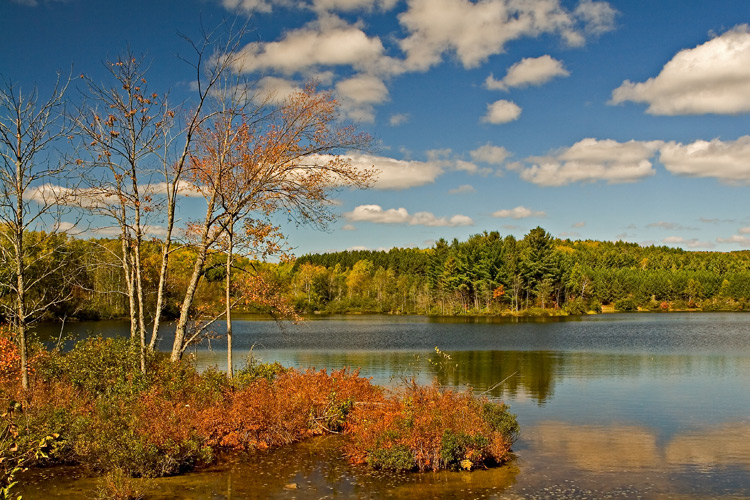 Algonquin Park