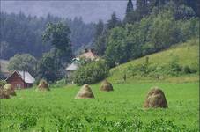 Krynica Zdrój