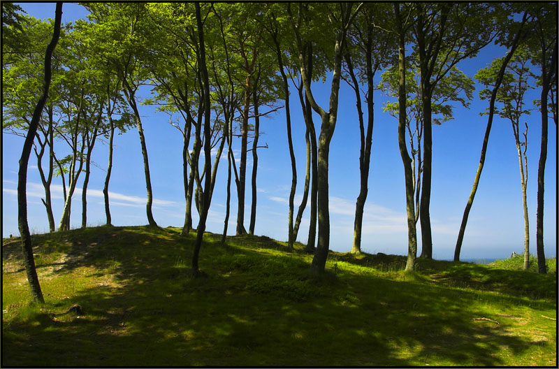 Nadbałtyckie klimaty