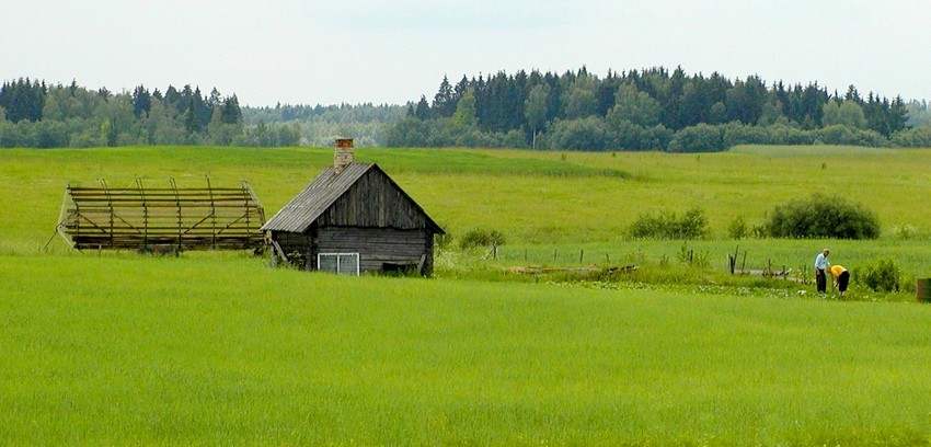 Wileńska opowieść