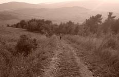 Beskid Niski