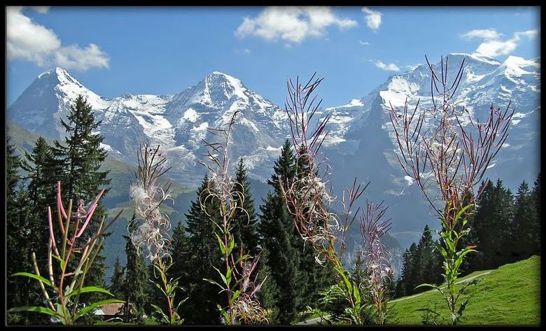 Eiger, Jungfrau, Monch...