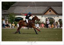 Polo Competition