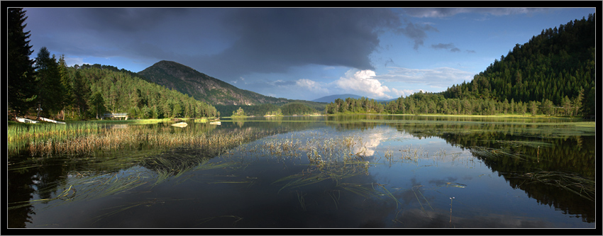 zielona panorama