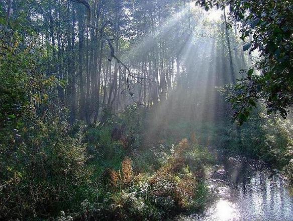 Poranek nad rzeczką...............