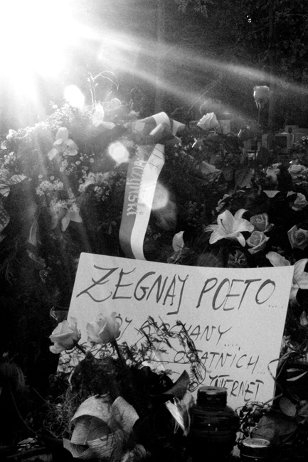 Żegnaj poeto