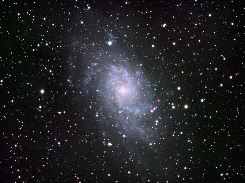 M33