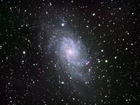 M33