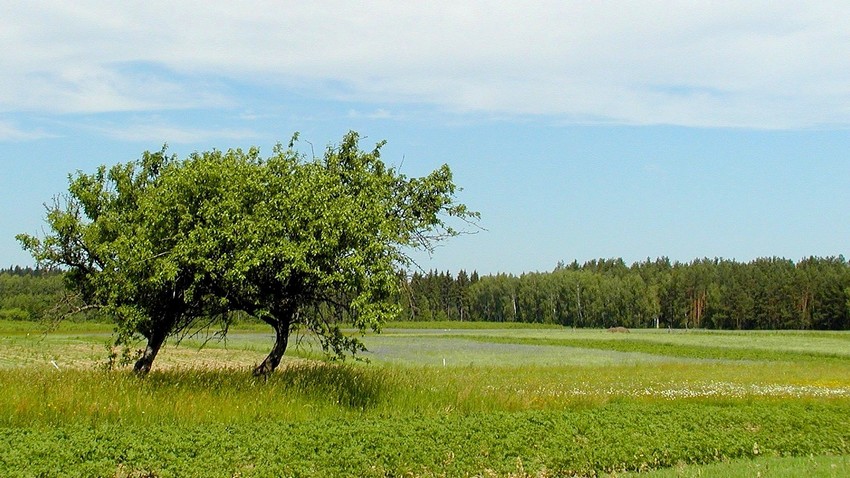 Splątani w obięciu patrzymy w dal.