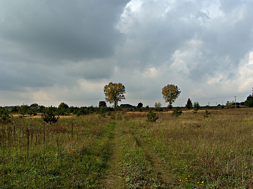 unijna droga