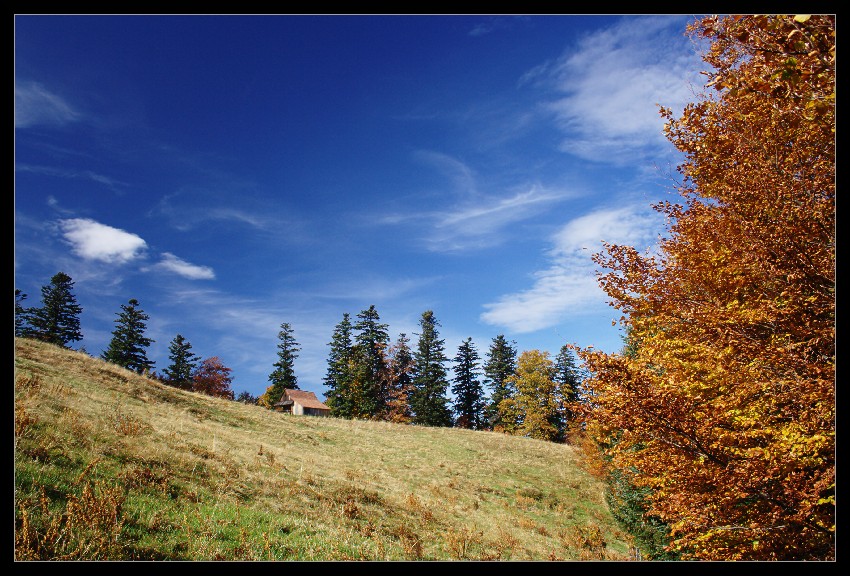 Pozdrowienia z Gorców #2