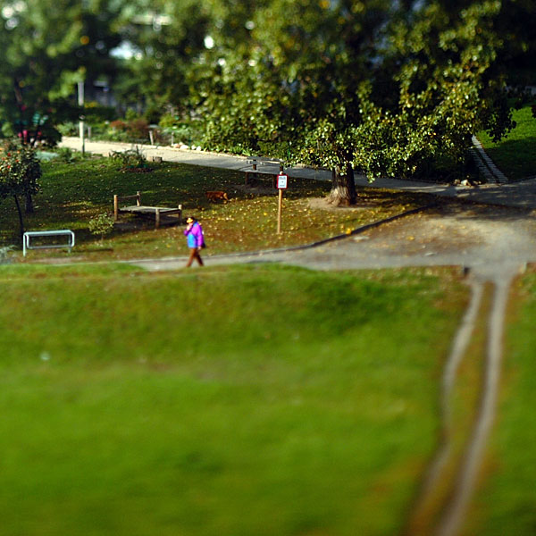 small world from my window