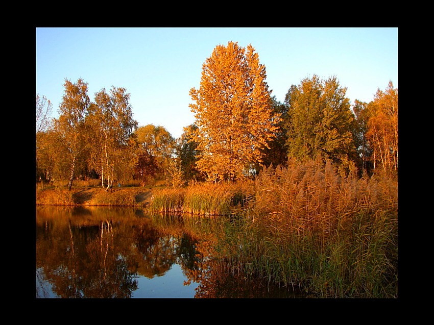 Jesień na Szachcie w Gliwicach-Sośnicy