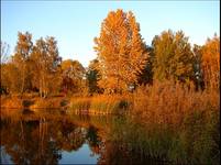 Jesień na Szachcie w Gliwicach-Sośnicy