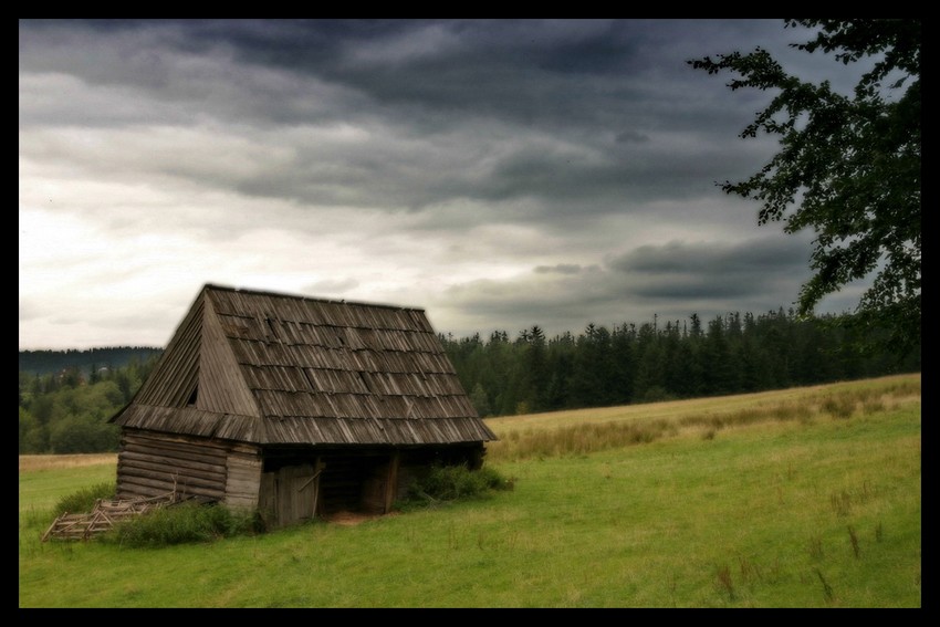 Starość nie radość