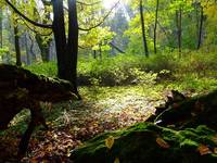 Gryżyński Park Krajobazowy