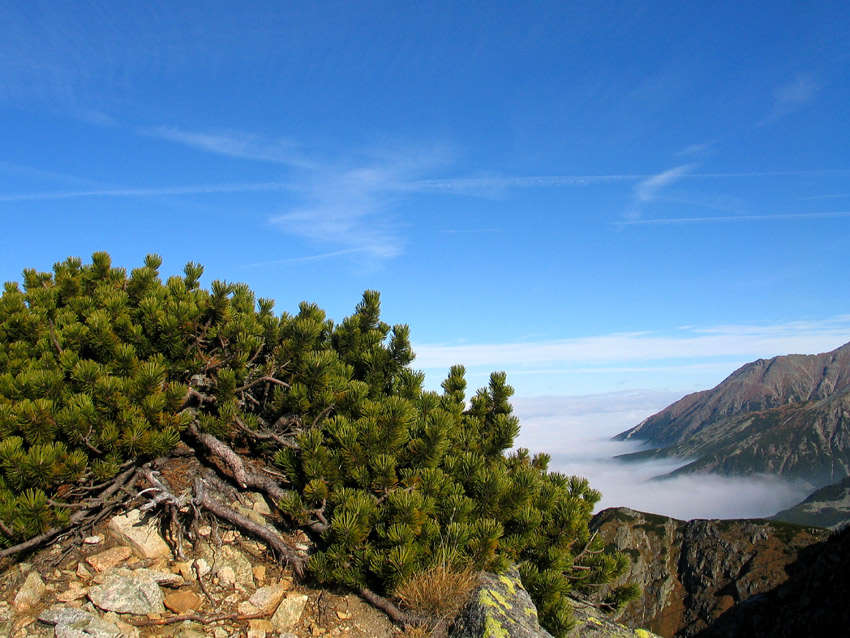 Tatry-cd /Canon G5