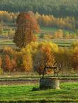 Śródpolna studnia w Podłaziu.