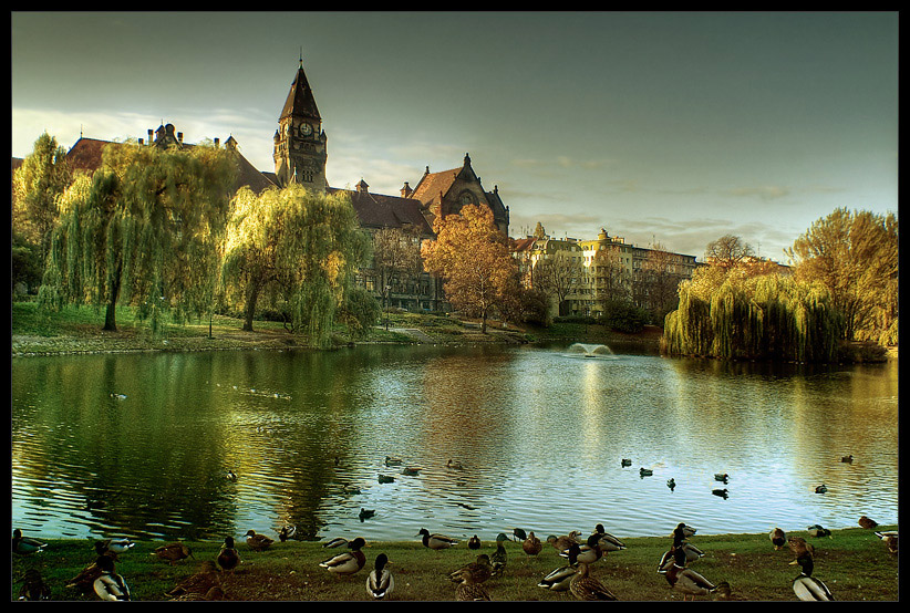 Wrocław - Budynek Architektury