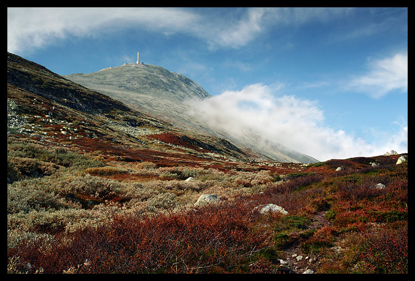 Norwegian autumn