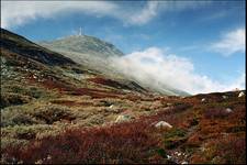 Norwegian autumn