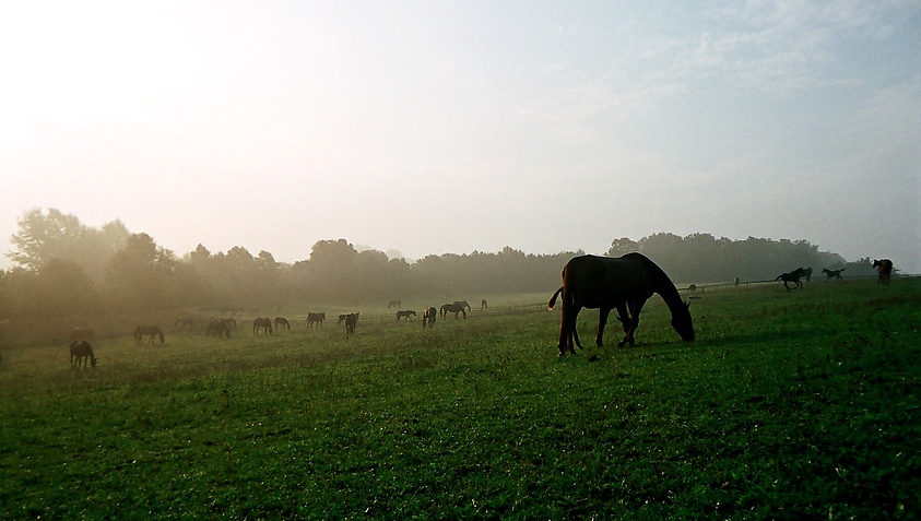 Panoramka iwieńska