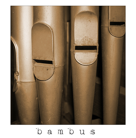 bambus