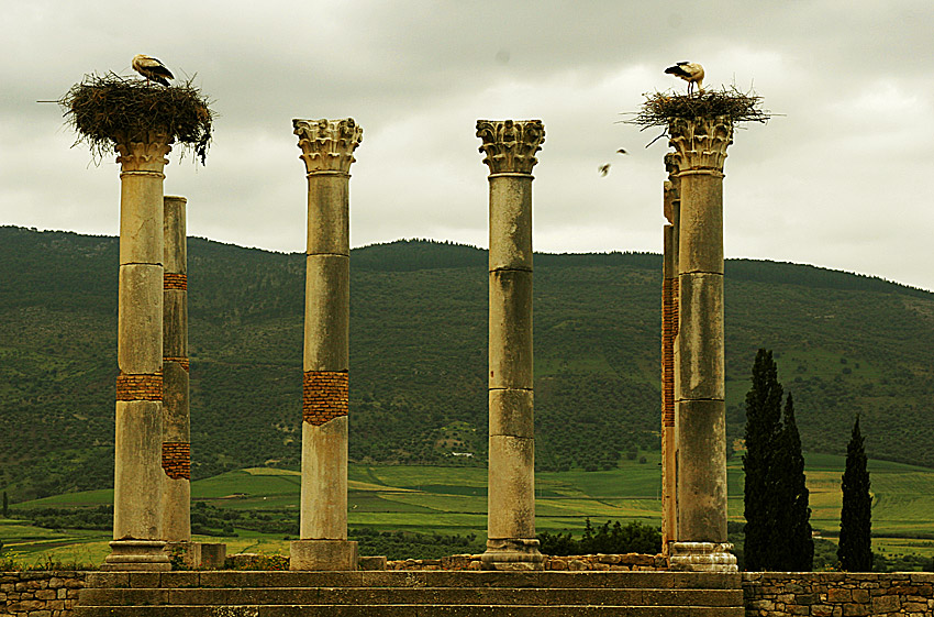 Volubilis