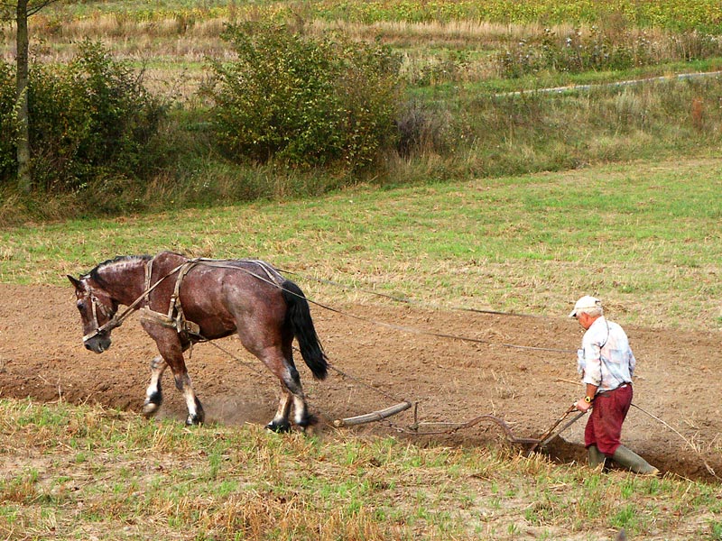 Proszę, wytrzymaj jeszcze trochę...