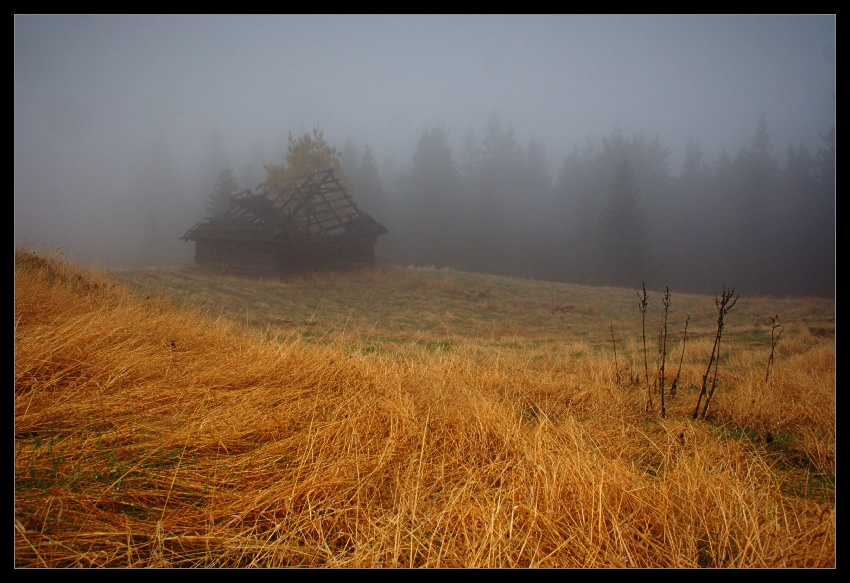 Pozdrowienia z Gorców #3