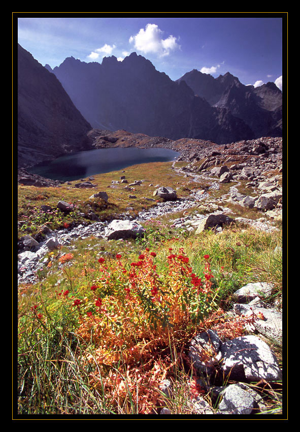 Litworowa dolina, słowacja