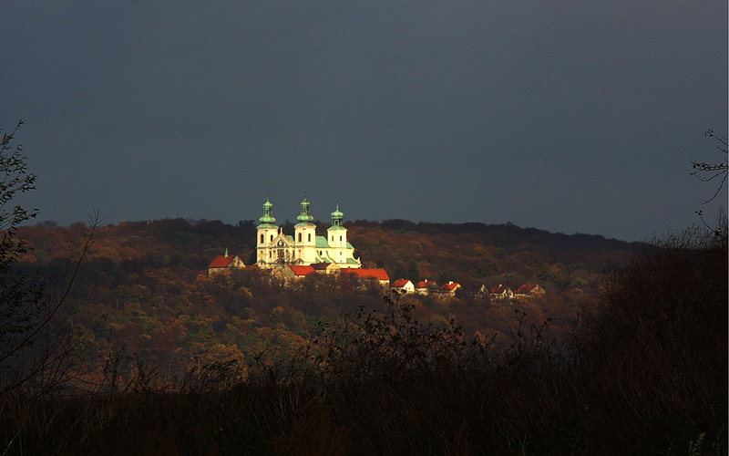 Bielany - promień słońca