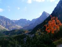 Polskie Tatry