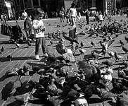 A little boy feeding pigeons