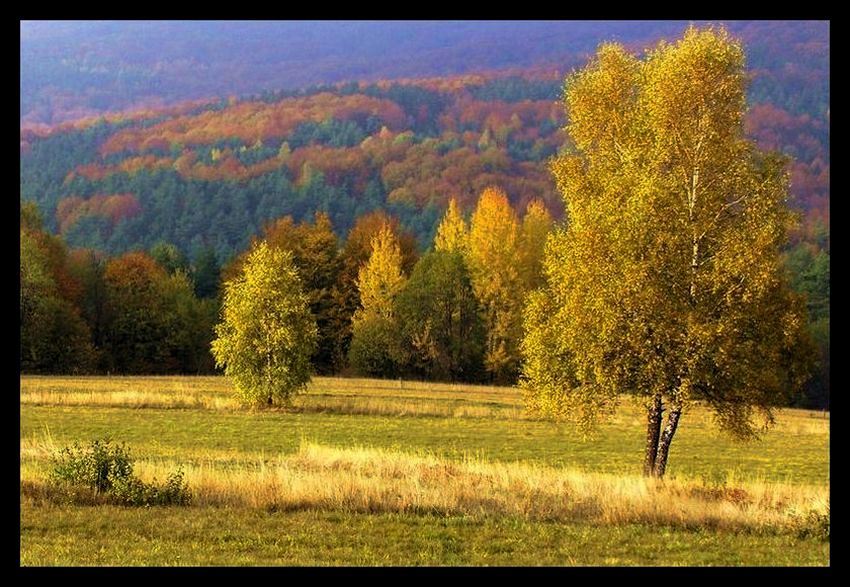 Jesień w Beskidzie (2)