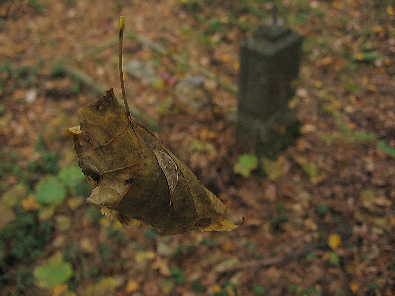 cementary